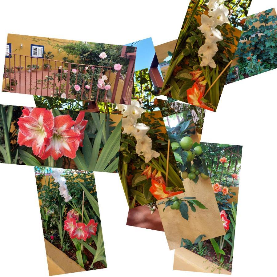 Casa Maestro Lelo - Acogedora Casa Rural Canaria Con Patios Y Jardines De Flores Las Palmas de Gran Canaria Exteriör bild