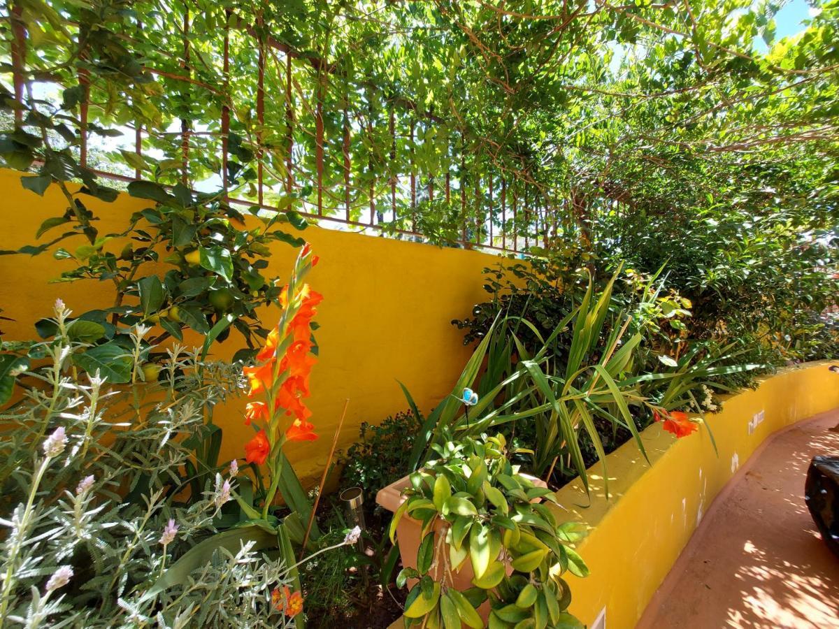 Casa Maestro Lelo - Acogedora Casa Rural Canaria Con Patios Y Jardines De Flores Las Palmas de Gran Canaria Exteriör bild